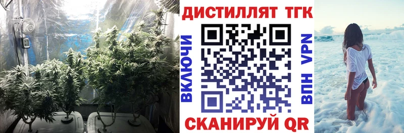 Купить  Кунгур  ТГК жижа 