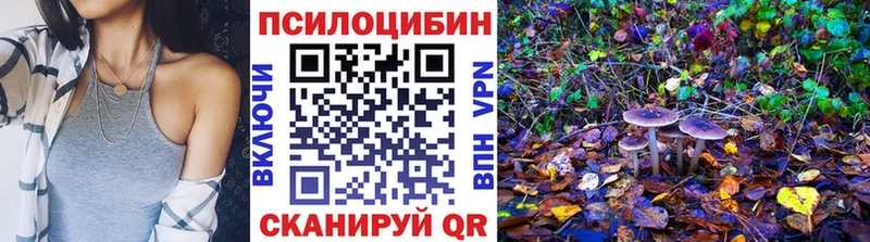 Галлюциногенные грибы Psilocybe  Купить закладки  Кунгур 